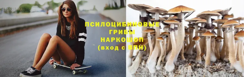 Галлюциногенные грибы Psilocybe  гидра ТОР  Новая Ляля  площадка официальный сайт  закладки 